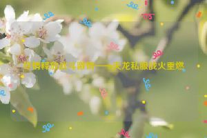 尽情释放战斗激情——天龙私服战火重燃