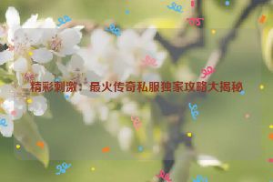 精彩刺激：最火传奇私服独家攻略大揭秘
